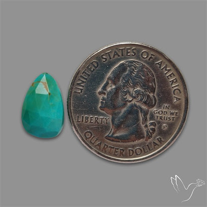Rose Cut Kingman Turquoise