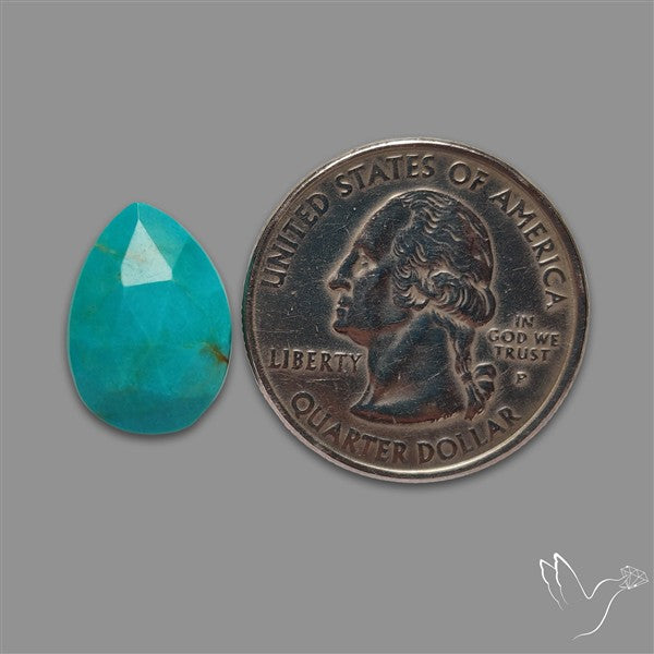 Rose Cut Kingman Turquoise