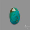 Rose Cut Kingman Turquoise