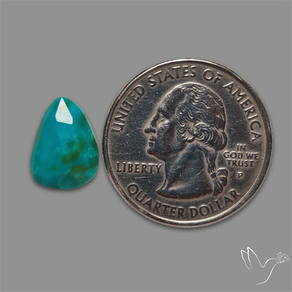 Rose Cut Kingman Turquoise