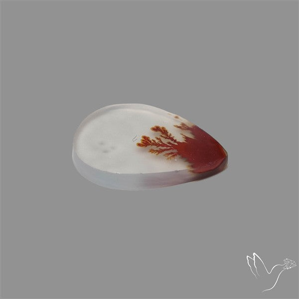Scenic Agate Cabochon