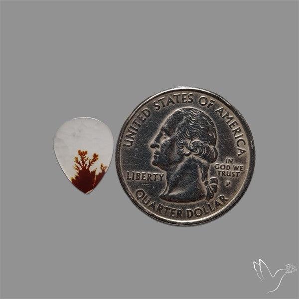Scenic Agate Cabochon