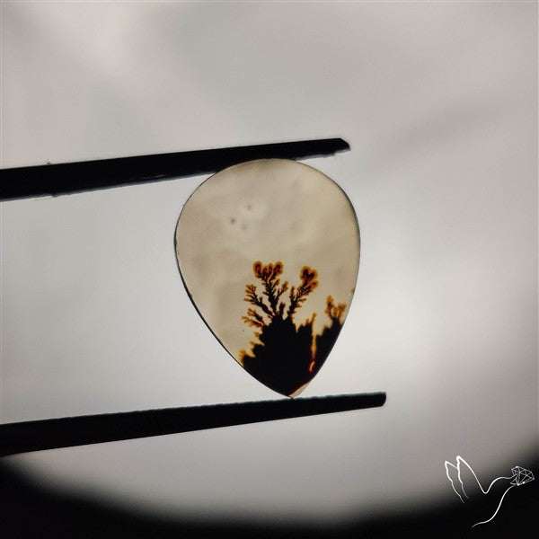 Scenic Agate Cabochon