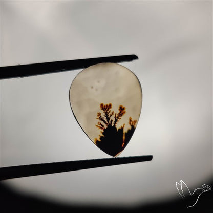 Scenic Agate Cabochon