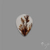 Scenic Agate Cabochon