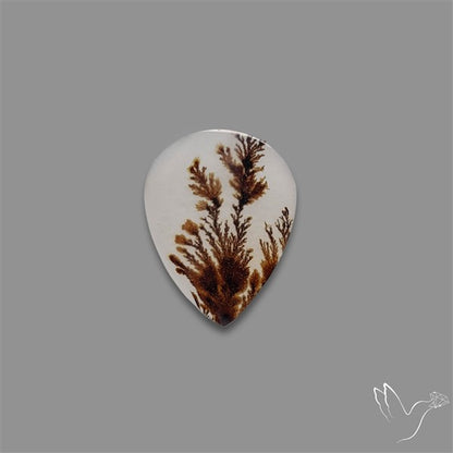 Scenic Agate Cabochon