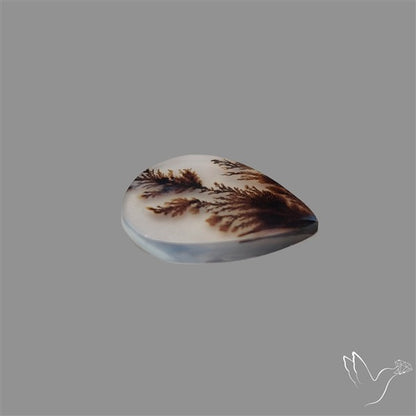 Scenic Agate Cabochon