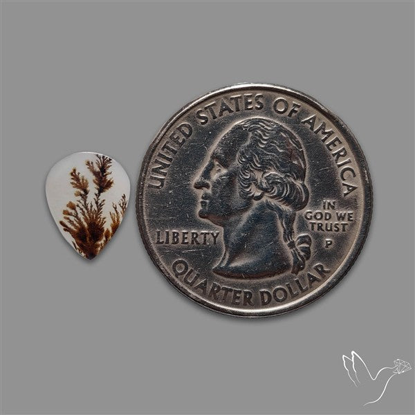 Scenic Agate Cabochon