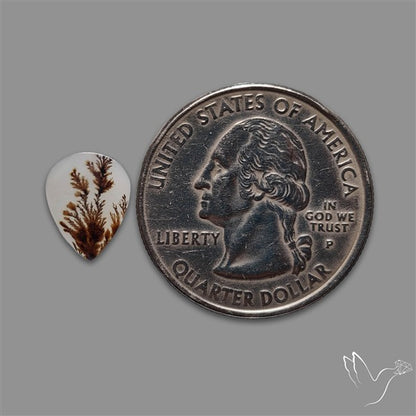 Scenic Agate Cabochon