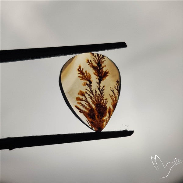 Scenic Agate Cabochon