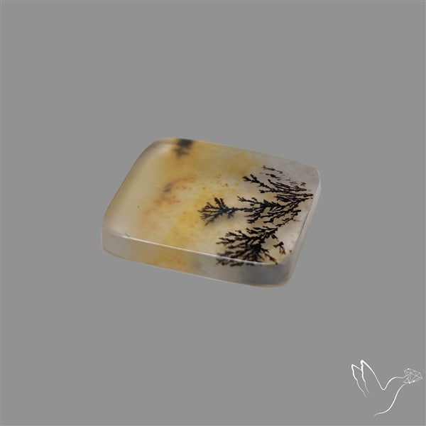 Scenic Agate Cabochon
