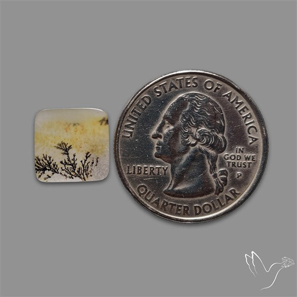 Scenic Agate Cabochon