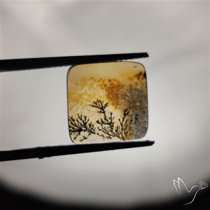 Scenic Agate Cabochon