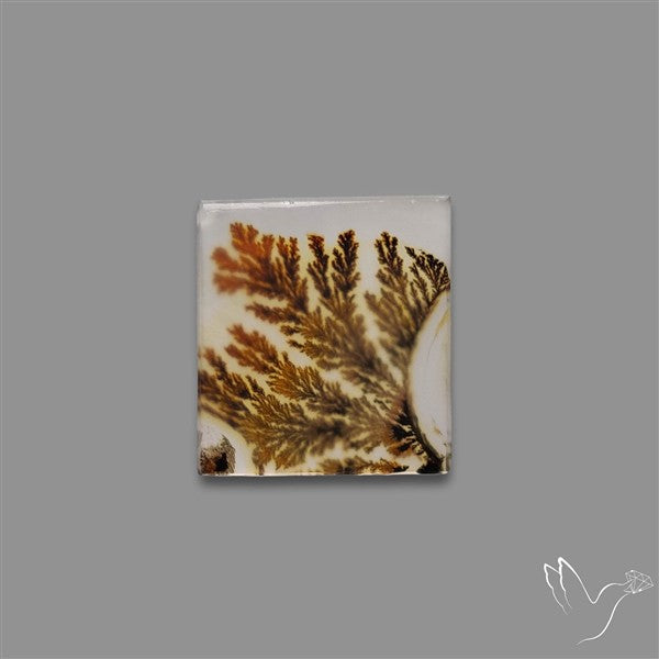 Scenic Agate Cabochon