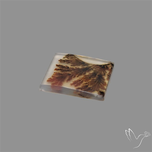 Scenic Agate Cabochon