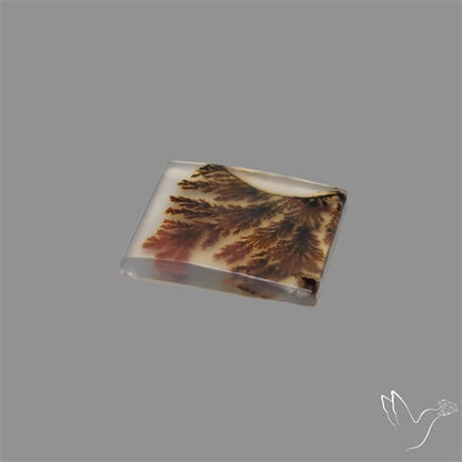 Scenic Agate Cabochon