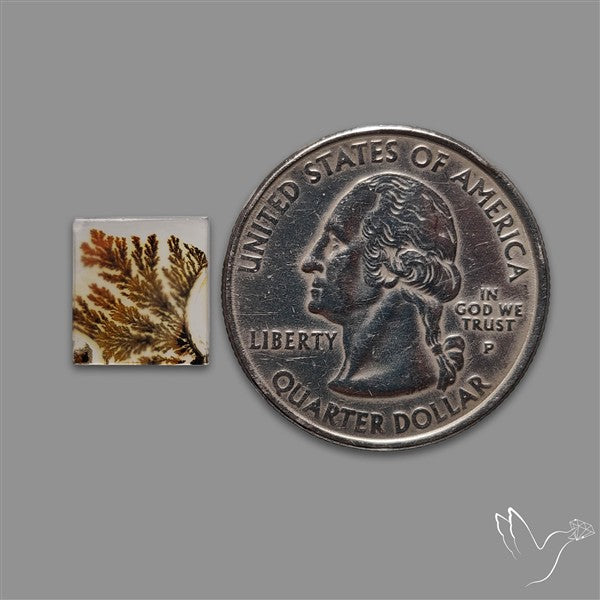 Scenic Agate Cabochon