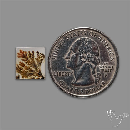 Scenic Agate Cabochon