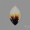 Scenic Agate Cabochon