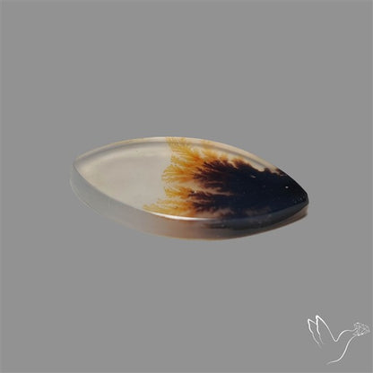 Scenic Agate Cabochon