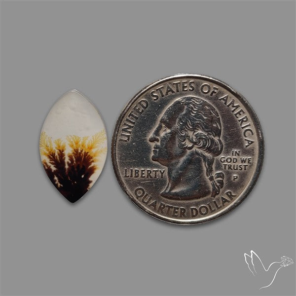 Scenic Agate Cabochon