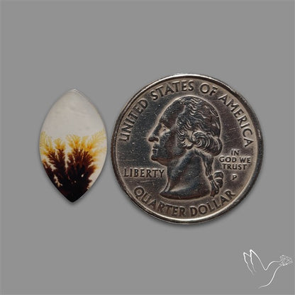 Scenic Agate Cabochon