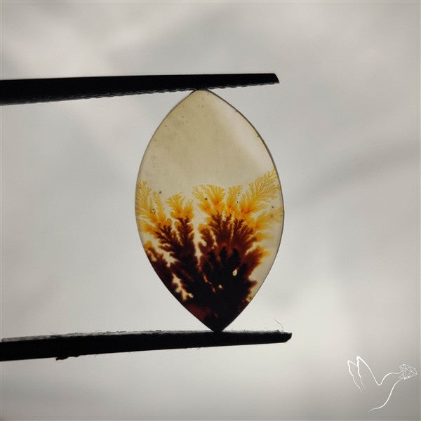 Scenic Agate Cabochon