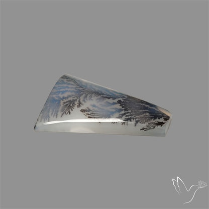 Scenic Agate Cabochon