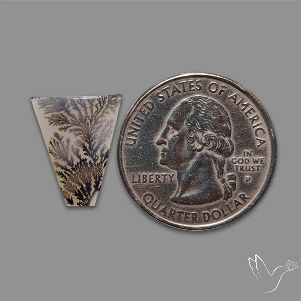 Scenic Agate Cabochon