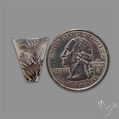 Scenic Agate Cabochon
