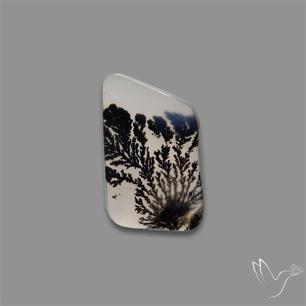 Scenic Agate Cabochon