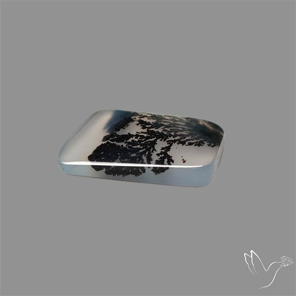 Scenic Agate Cabochon