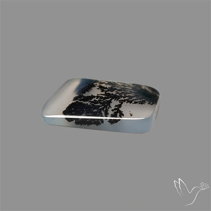 Scenic Agate Cabochon