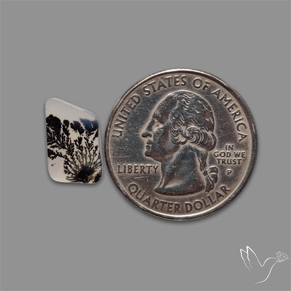 Scenic Agate Cabochon