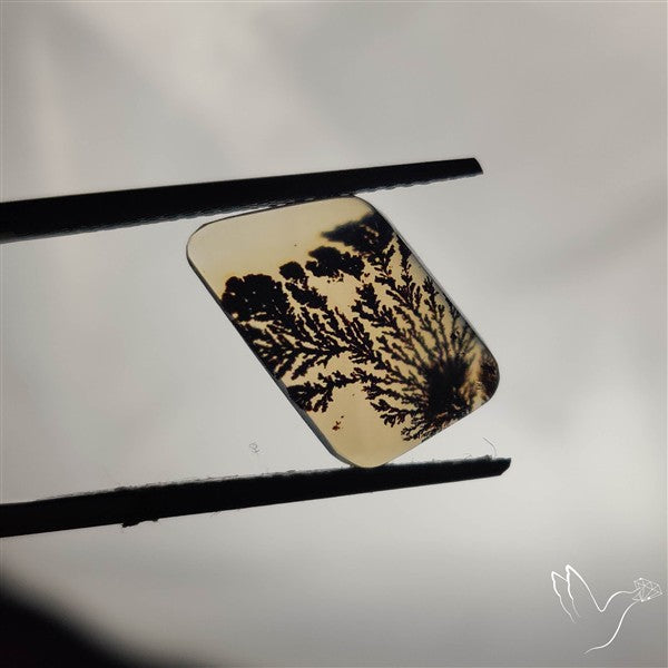Scenic Agate Cabochon