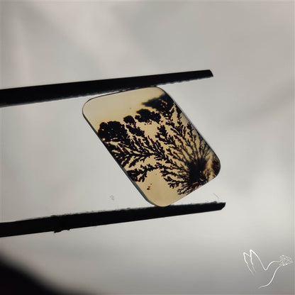 Scenic Agate Cabochon