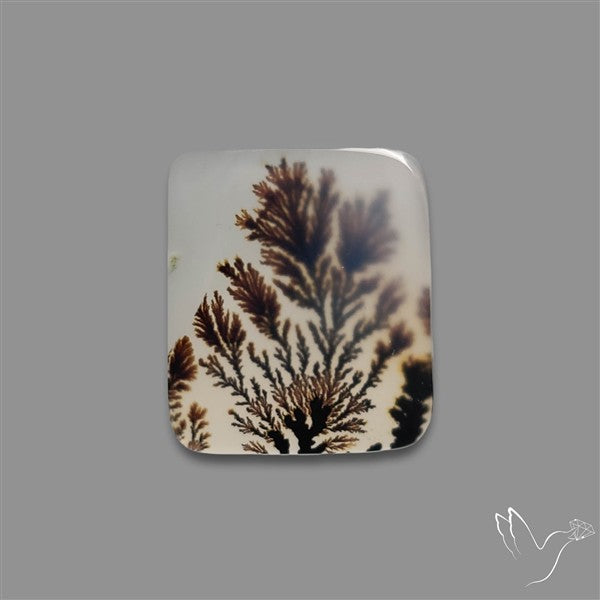 Scenic Agate Cabochon
