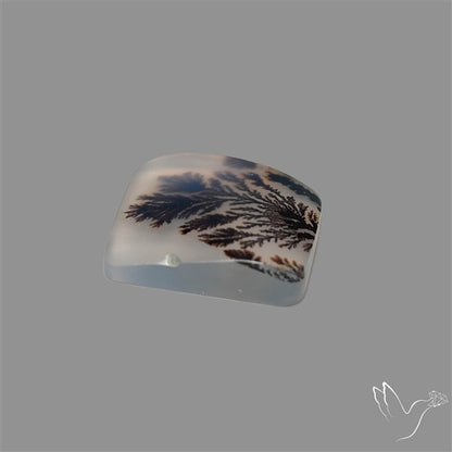 Scenic Agate Cabochon