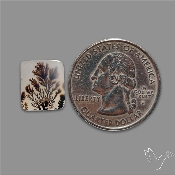 Scenic Agate Cabochon