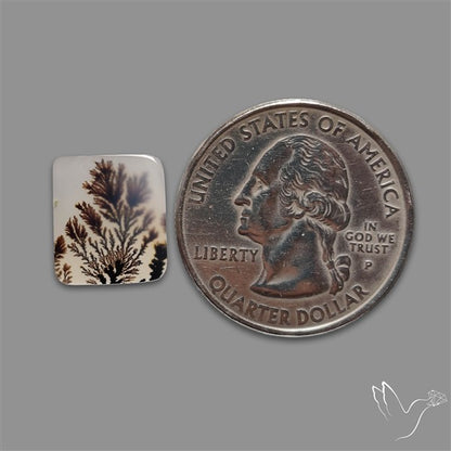 Scenic Agate Cabochon