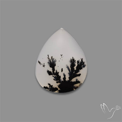 Scenic Agate Cabochon