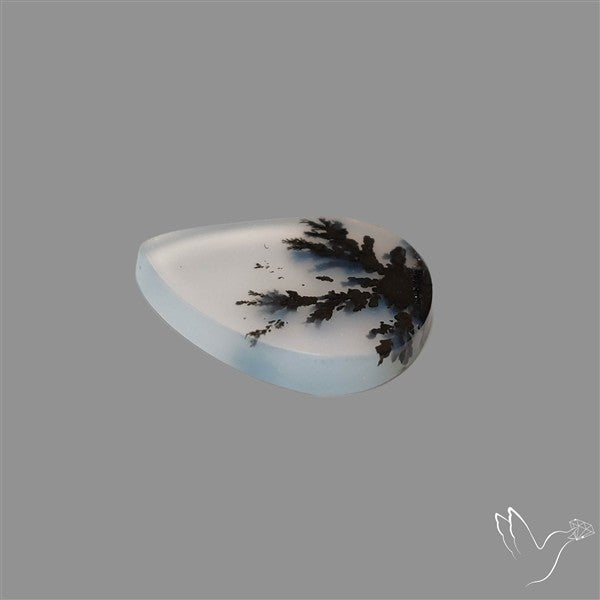Scenic Agate Cabochon