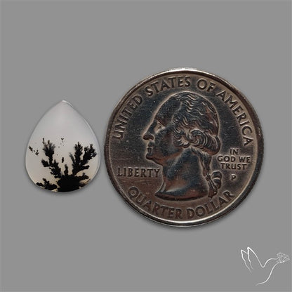 Scenic Agate Cabochon