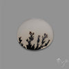 Scenic Agate Cabochon