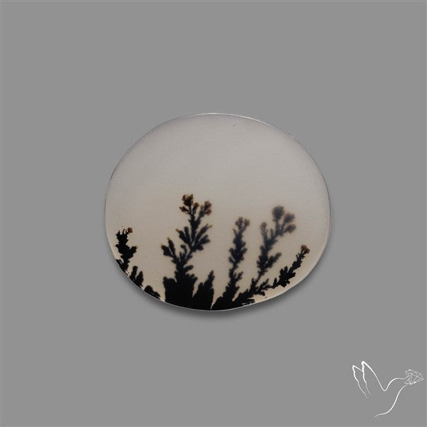Scenic Agate Cabochon