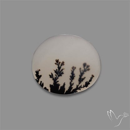 Scenic Agate Cabochon