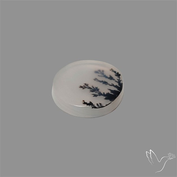 Scenic Agate Cabochon
