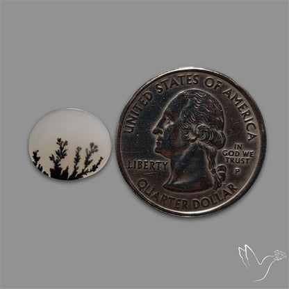 Scenic Agate Cabochon