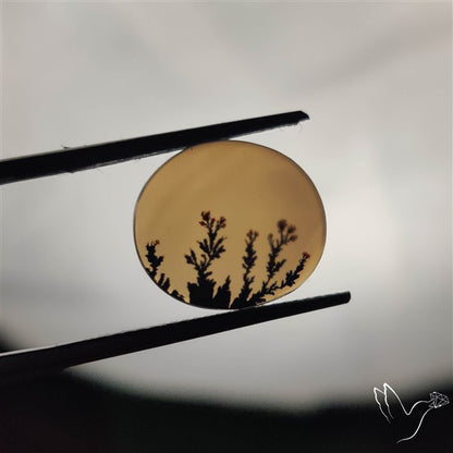 Scenic Agate Cabochon