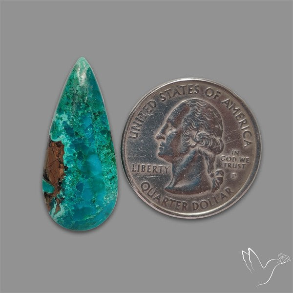 Chrysocolla Cabochon